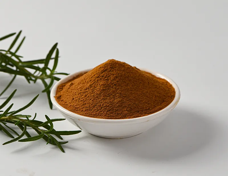 High-Quality Rosemary Extract Supplier