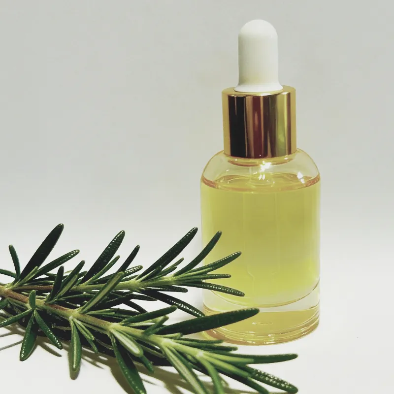 Features of Rosemary Essential Oil