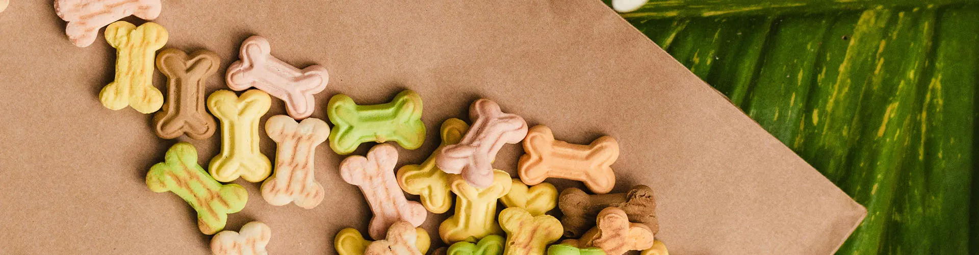 Natural Botanical Extracts for Pet Nutrition