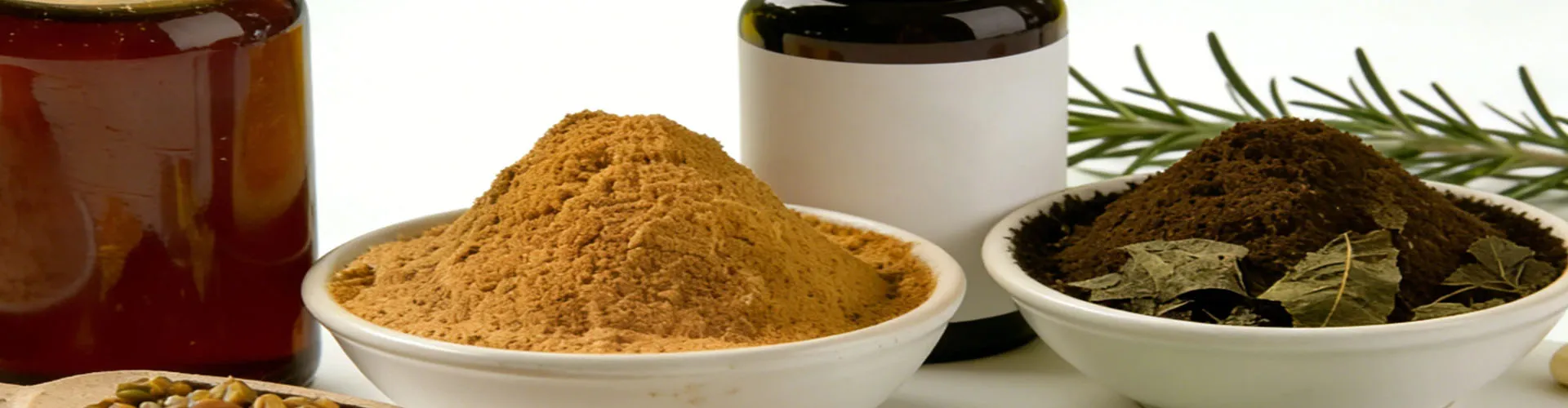 Nutrition & Wellness