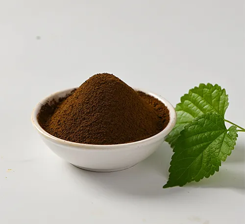 The Mulberry Leaf Extracts Demands Raised in the International Market